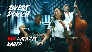 Red Data Cat - Рокки ( Zivert cover )