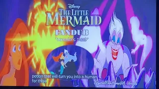 🐠THE LITTLE MERMAID🐠~🧜🏻‍♀️ARIEL FANDUB🧜🏻‍♀️~🦑URSULA’S DEAL🦑~🐙WITH CRYSTALROSEHAVEN🐙