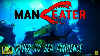 "Jaws Unleashed: Maneater Shark Ventures from River to Ocean - Immersive Ambience"