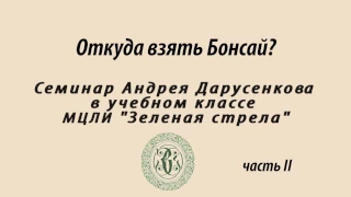 Откуда взять бонсай? Семинар Андрея Дарусенкова . Часть 2