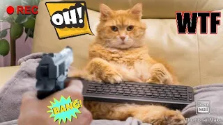 Funniest cats and dog videos #18