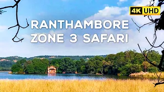 Ranthambore Zone 3 Safari (October 2021) 4K Video