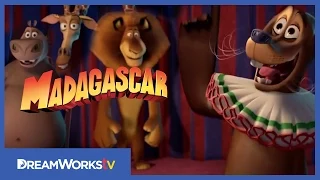 "Bad Circus" Clip | MADAGASCAR 3