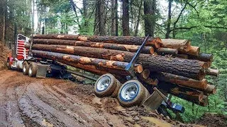 Dangerous Fastest Big Logging Wood Truck Operator Skill | Heavy Equipment Truck Fails At The Working