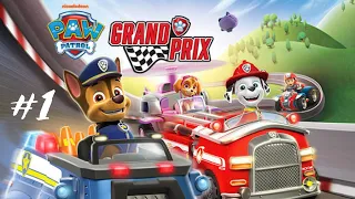 Zagrajmy w PSI Patrol: Grand Prix odc. 1 Początek gry i pierwsze wyścigi