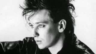 If You Want - Alan Wilder