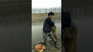 Amazing Big Cast Net Fishing   Traditional Net Catch Fishing in The River 24