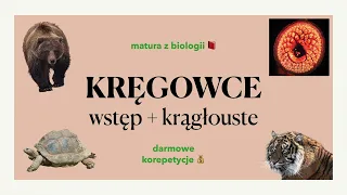 #28 - Kręgowce - wstęp + krągłouste - budowa, charakterystyka 🐈🦚🐒 matura z biologii 📕 liceum