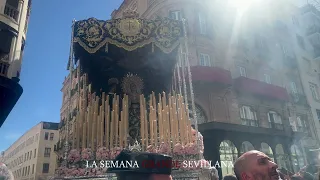 [4K] Macarena (Cebrián) - Virgen Dolores y Misericordia en la revirá Rioja/Velázquez 2023