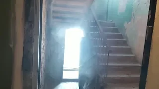 Пар валит из подвала в квартиры 2 года. Real video