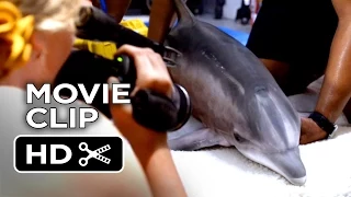 Dolphin Tale 2 Movie CLIP - When That Truck Arrives (2014) - Harry Connick, Jr Dolphin Drama HD