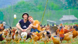 FULL VIDEO: Harvest, cook, grow, farm 300 chickens, with his wife on the farm