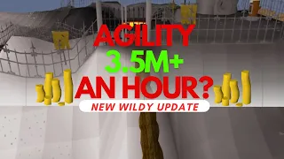 Agility Is Now Good!? - OSRS 3.5M+ Money Making Guide - New Wilderness Update