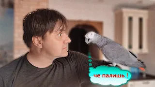 ЧЁ ПАЛИШЬ ! 😂 ЖАКО ПЕТРУНЯ 🐦