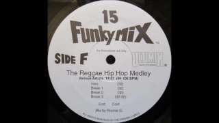 Various  – The Reggae Hip Hop Medley (Funkymix 15) 1993