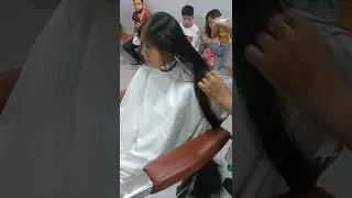 Super longhair To bobcut