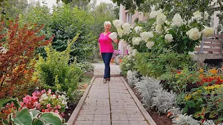 FLOWER IN AUGUST - a new flowering of my flower beds.