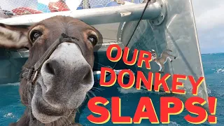 Our Donkey Slaps! | Rough Seas on an Aluminium Catamaran | Sailing with the James's (Ep. 44)