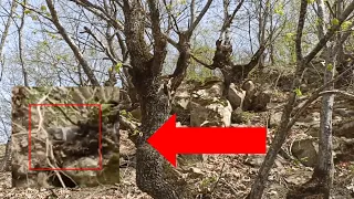 Mysterious creature is hiding behind tree in the forest. scary creatures caught on camera