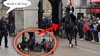 The Police Responded Immediately When He Saw The Horse Spinning Around!