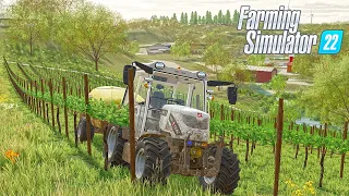 Grapes in Farming Simulator are So Much Fun! | FS22