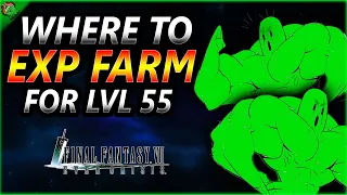 UPDATE Farming EXP & Free Pulls! ~ Final Fantasy 7 Ever Crisis