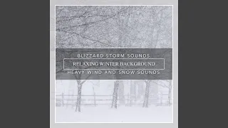 Blizzard Storm Sounds, Relaxing Winter Background, Heavy Wind and Snow Sounds