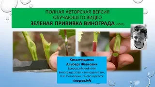 Полная авторская версия обучающего видео Зеленая прививка винограда, Хисамутдинов АФ