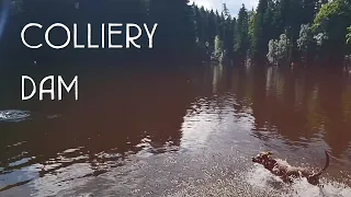 Escape the City at the Colliery Dam - Nanaimo, BC