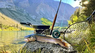 Wild BROWN TROUT Catch & Cook!  Fishing a REMOTE Lake in the Mountains! (UNDERWATER VIEW)