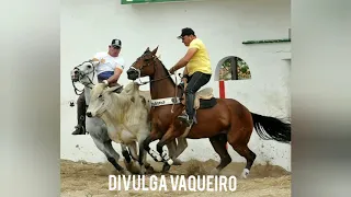 DOI É SOFRER POR MORENA (Tarcísio de acordeon)