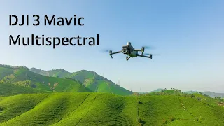 DJI Mavic 3 Multispectral Overview