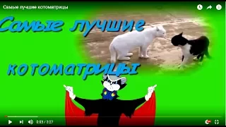 Самые лучшие котоматрицы