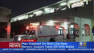 Man Stabbed On CTA Red Line Near Berwyn