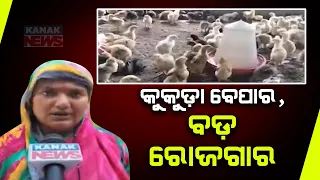 Bazaar Halchaal: Inspiring Successful Poultry Journey Gitarani Jena In Balasore