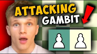 Like Attacking Chess? Play THIS Gambit!