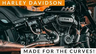 The Ultimate Harley Davidson Mountain Slayer!?