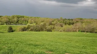 How to get clover in your pasture for free every single year!