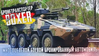 Немецкая боевая машина пехоты Boxer