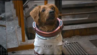 Cosmo the Spacedog | She Is A Bad Dog | WMP