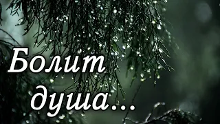 Очень трогательная и красивая Христианская песня "Болит душа и слезы на очах" Верующие песни МСЦ ЕХБ