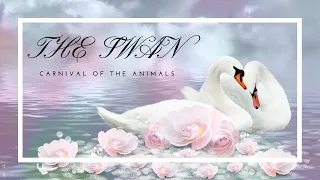 [1HR, Repeat] The Swan, Carnival of the Animals