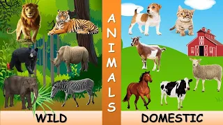 Animals, Animals For Kids, Wild Animals, Domestic Animals, Animals with Pictures , Learn Animals