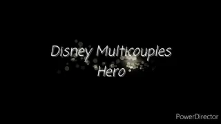 Hero - MultiCouples Disney