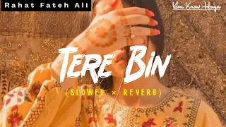 Tere Bin (Slowed+Reverb) | Rahat Fateh Ali, Asees Kaur | You Know Haya |