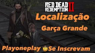 Localização Garça-Grande - Red Dead Redemption 2 - Desafio Diário - XboxOne, Ps4 e Pc!