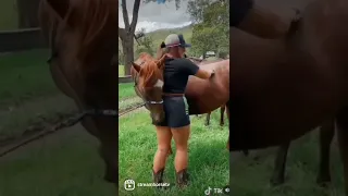 U GROOM ME I GROOM U‼️ 🤣🐴💆‍♀️😍❤️ #streamhorsetv #horse #lol #funny #cute #massage #animals #fun #omg