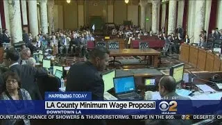 LA County Board Of Supervisors To Consider Minimum Wage Proposal