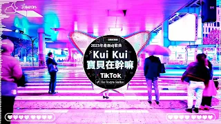 2024夜店舞曲 - 最新最火DJ抖音版2024【全中文dj舞曲】TIK TOK抖音音樂熱門歌單 2024年最劲爆的DJ歌曲 抖音【Chinese DJ 2024】Chinese Dj Remix