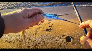 РЫБАЛКА НА САРГАНА В ЧЕРНОМ МОРЕ НА БОМБАРДУ.